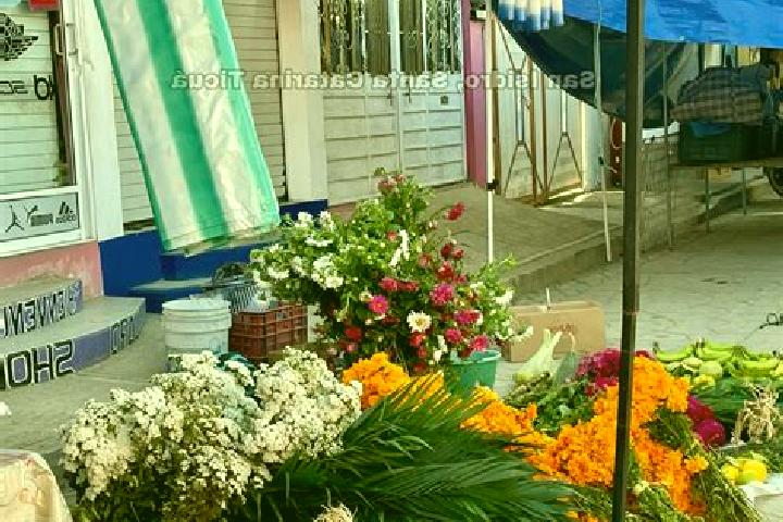 Rose, 29 — Escort in Santa Catarina Ticua, Mexico