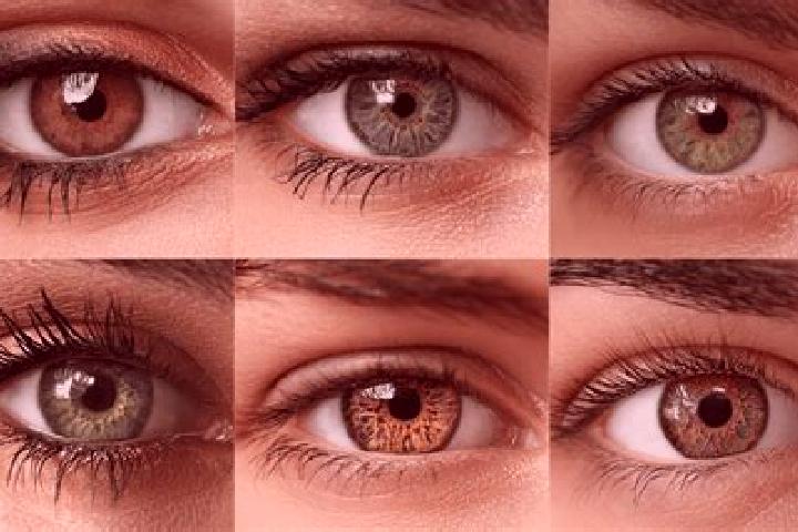 Rose, 30, a red hazel-eyed caucasian companion based in Langston Hughes. Offering OWO, Couples, Girlfriend Experience. Available for incall and outcall, over...