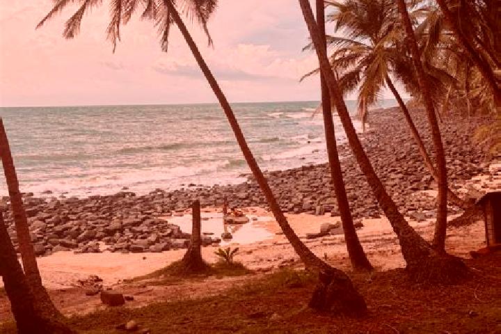 Rose, 30 — Escort in Kourou, French Guiana