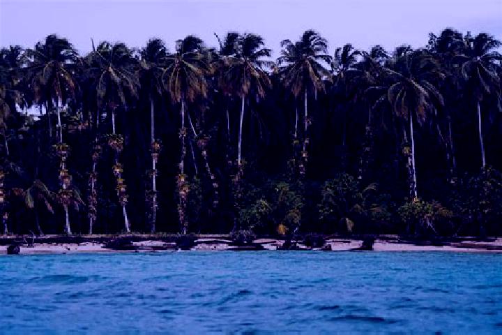 Rose, 30 — Escort in Las Bocas, Mexico
