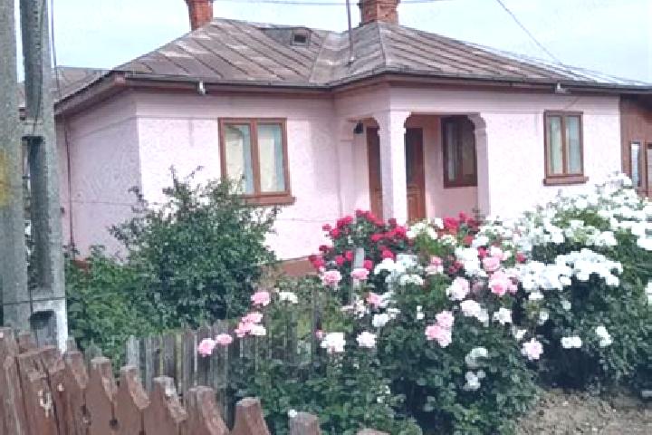 Rose, 30 — Escort in Mihalceni, Romania