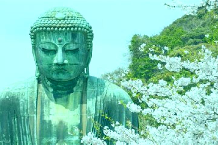 Rose, 30 — Escort in Omitama, Japan