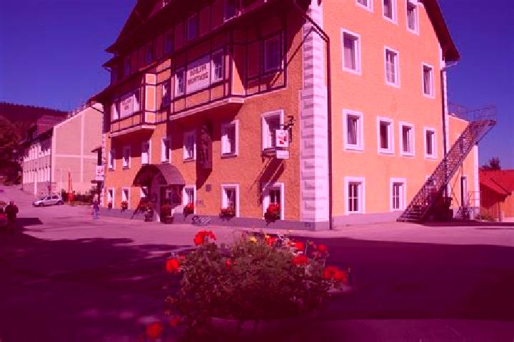 Rose, 30 — Escort in Puchenstuben, Austria