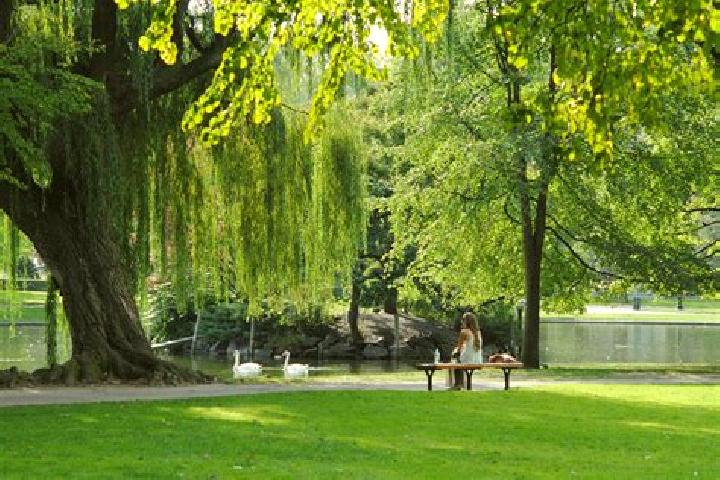 Rose, 30 — Escort in Virginia Park, Canada