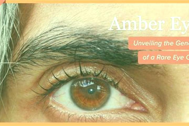 Rose, 31, a red amber-eyed mixed companion based in Hattfjelldal. Offering Roleplay, Couples, Erotic Massage. Available for incall and outcall, overnight boo...
