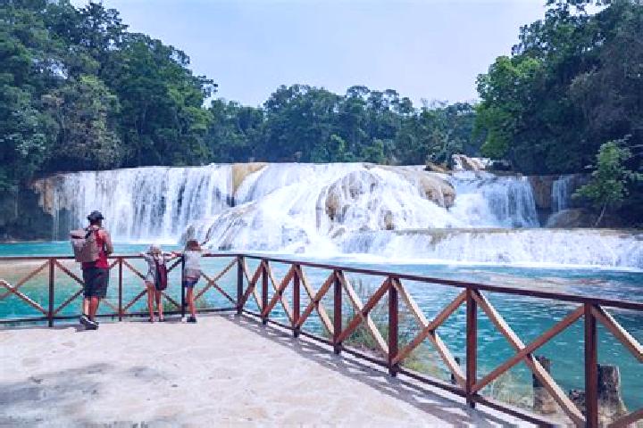 Rose, 31 — Escort in Agua Azul, Mexico