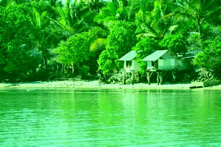 Rose, 31 — Escort in Ambo Village, Kiribati