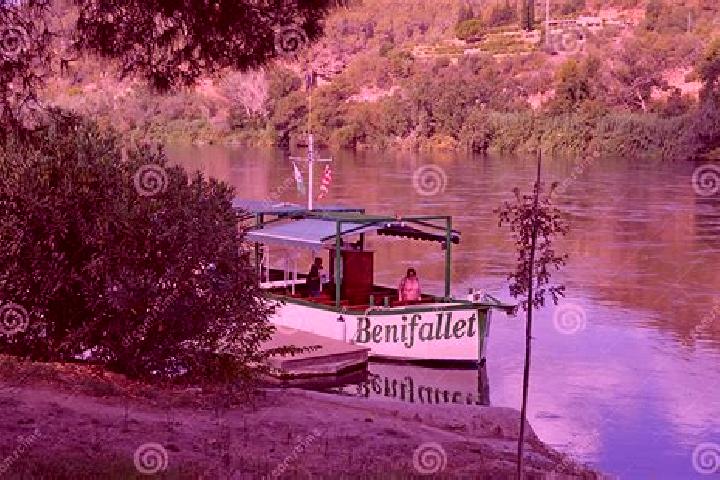 Rose, 31 — Escort in Benifallet, Spain