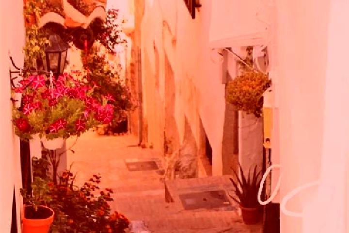 Rose, 31 — Escort in Canillas de Aceituno, Spain
