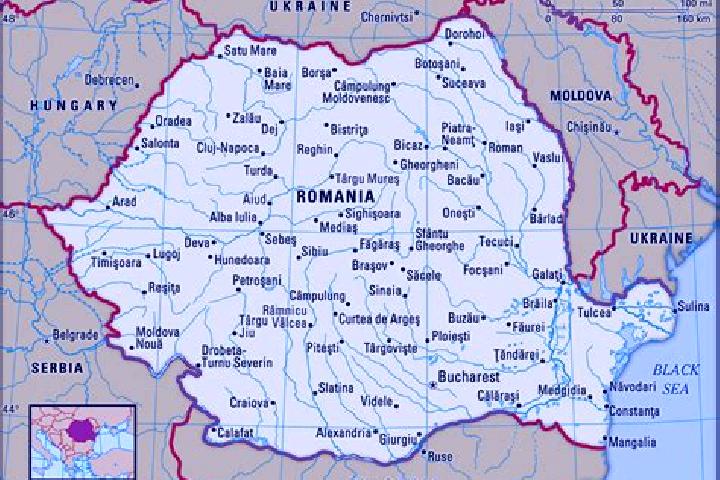 Rose, 31 — Escort in Deda, Romania