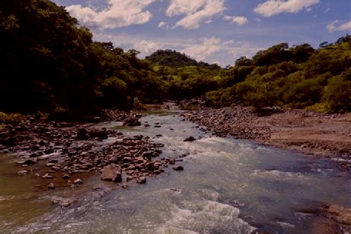 Rose, 31 — Escort in Goascoran, Honduras
