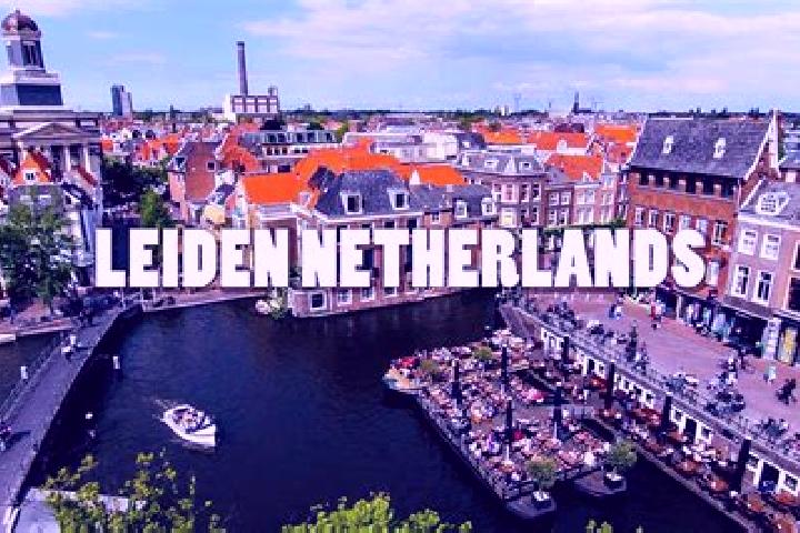 Rose, 31 — Escort in Leende, Netherlands