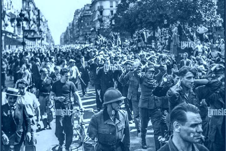 Rose, 31 — Escort in Liberation, France