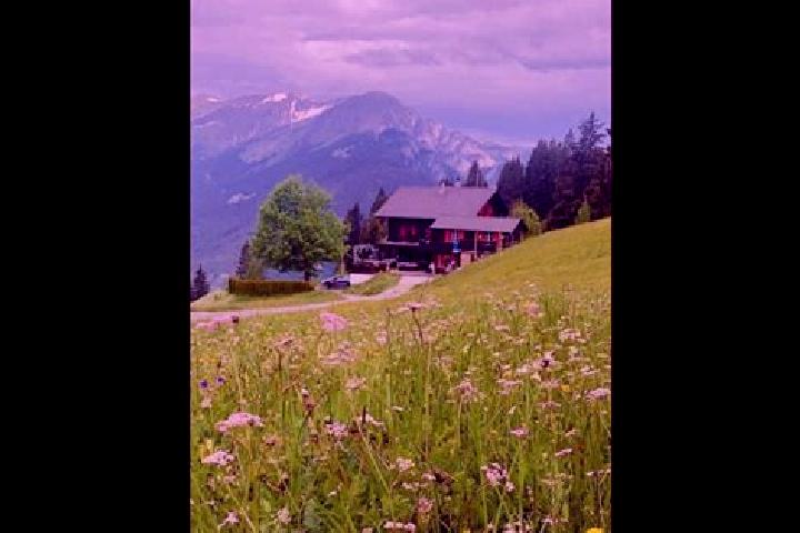 Rose, 31 — Escort in Malix, Switzerland