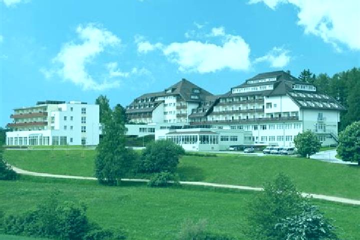 Rose, 31 — Escort in Ottenschlag im Muehlkreis, Austria