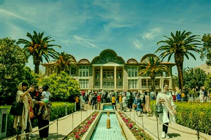 Rose, 31 — Escort in Shiraz, Iran