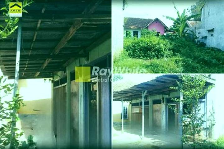 Rose, 31 — Escort in Sidaraja, Indonesia