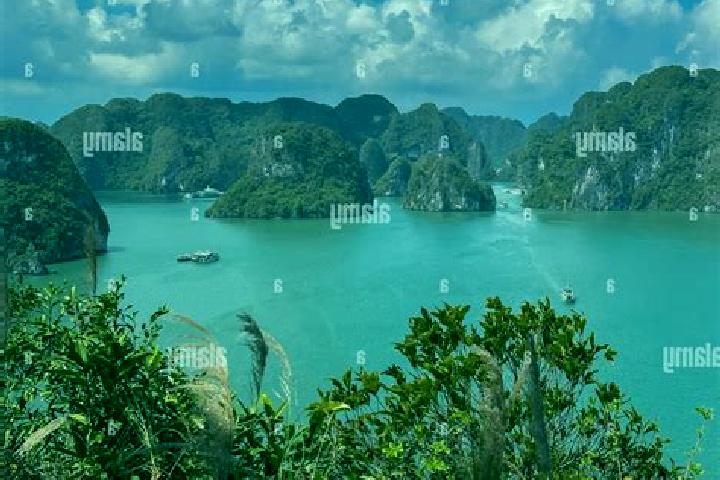 Rose, 31 — Escort in Thi Tran Thuan Chau, Vietnam