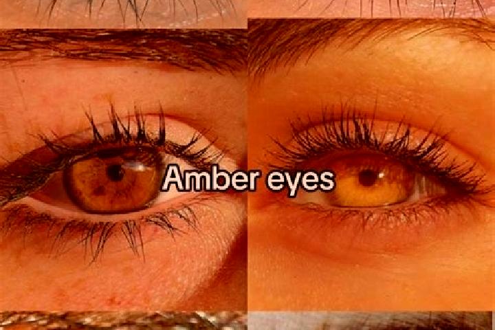 Rose, 32, a brunette amber-eyed middle eastern companion based in Zabre. Offering Couples, Roleplay. Available for incall and outcall, overnight bookings ava...