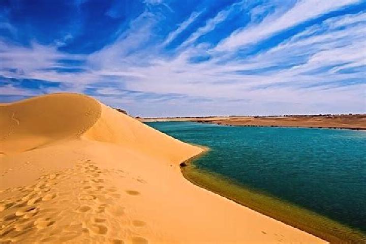 Rose, 32 — Escort in Al Fayyum, Egypt