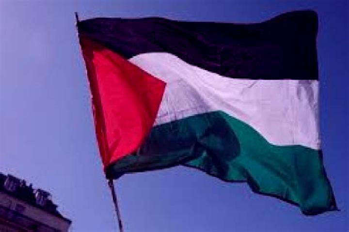 Rose, 32 — Escort in Az Zuwaydah, Palestine