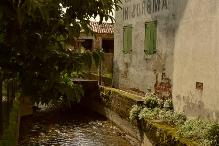 Rose, 32 — Escort in Grumolo delle Abbadesse, Italy