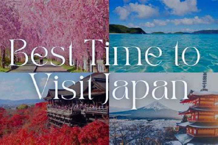 Rose, 32 — Escort in Ide, Japan