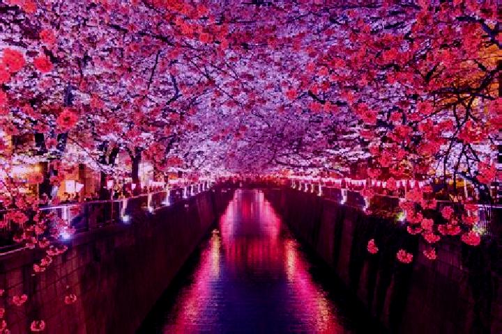 Rose, 32 — Escort in Kotsubaki, Japan