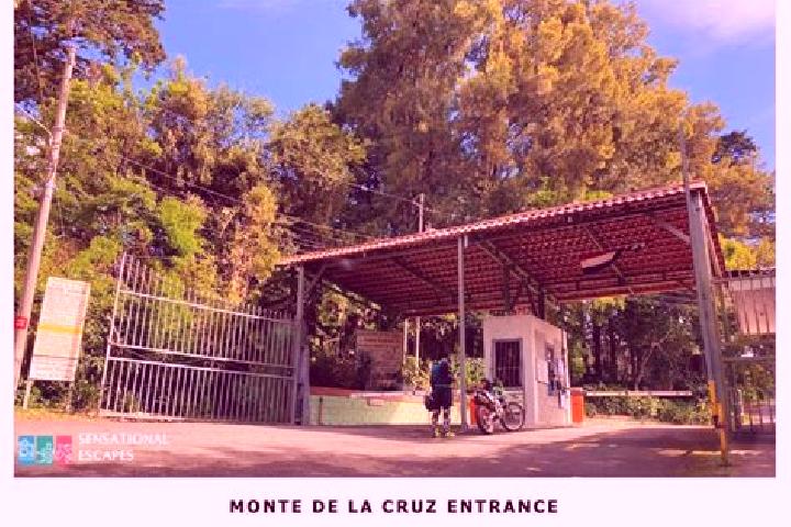 Rose, 32 — Escort in La Cruz, Costa Rica