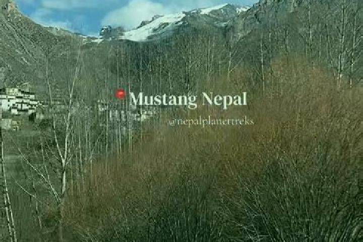 Rose, 32 — Escort in Mustang, Nepal