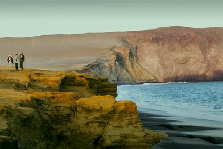 Rose, 32 — Escort in Paracas, Peru