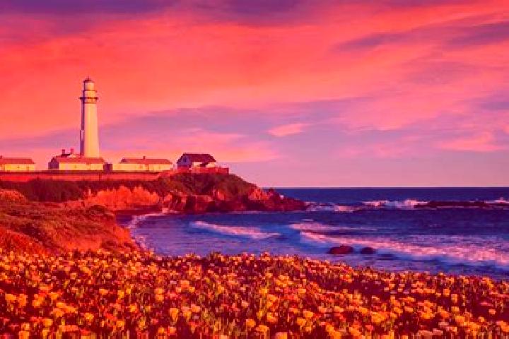 Rose, 32 — Escort in Pescadero, United States