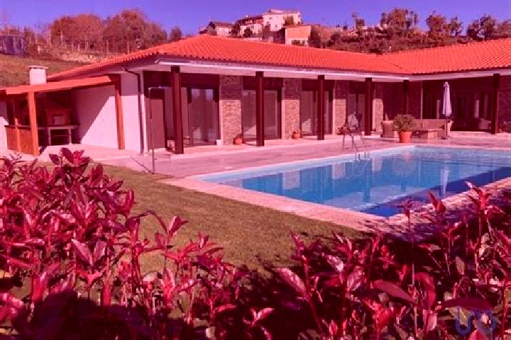 Rose, 32 — Escort in Refojos de Basto, Portugal