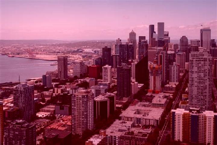 Rose, 32 — Escort in Seattle, United States