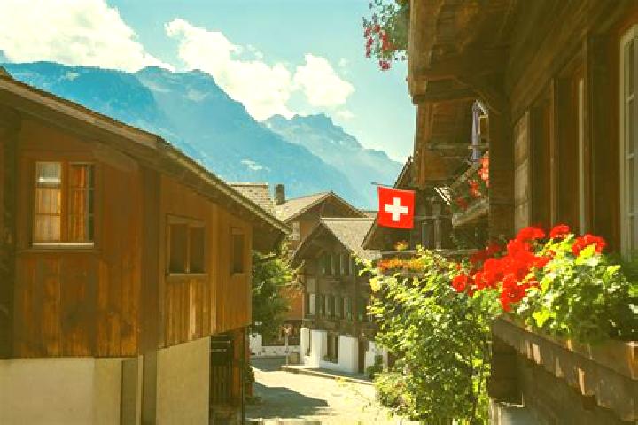 Rose, 32 — Escort in Untersiggenthal, Switzerland