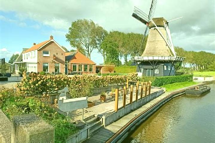 Rose, 32 — Escort in Vrouwenparochie, Netherlands