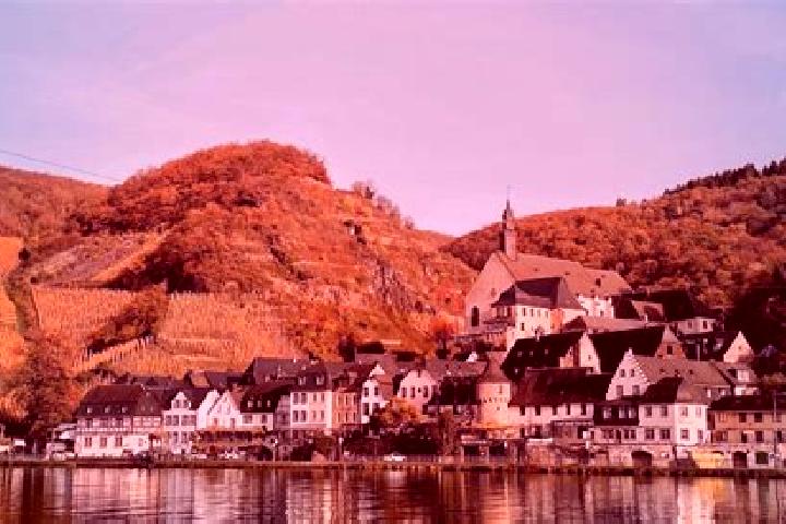 Rose, 33 — Escort in Beuern, Germany