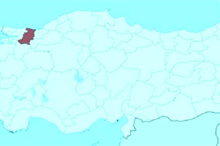 Rose, 33 — Escort in Cihadiye, Turkey