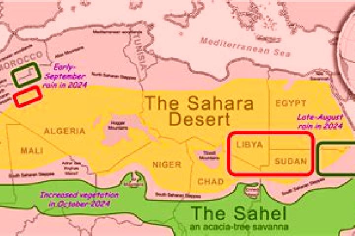 Rose, 33 — Escort in Jraifia, Western Sahara
