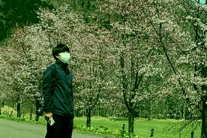 Rose, 33 — Escort in Shiranuka, Japan