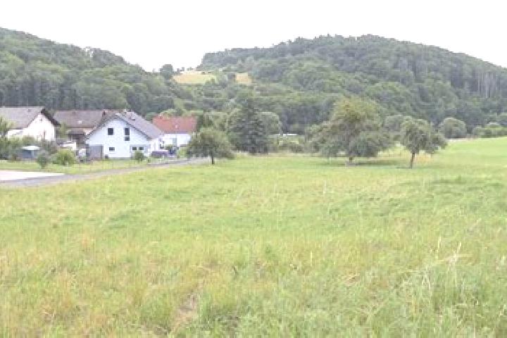 Rose, 33 — Escort in Siegbach, Germany