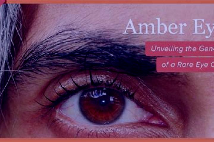 Rose, 34, a black amber-eyed european companion based in Vazhapadi. Offering Tantra, Dinner Date, Striptease, Travel Companion. Available for incall and outc...