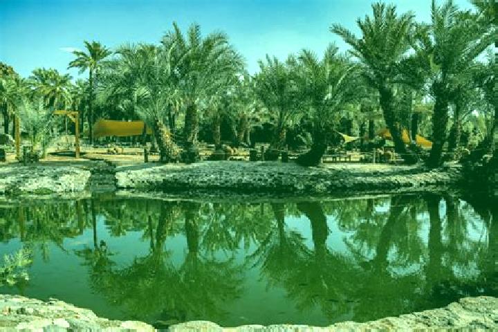 Rose, 34 — Escort in Al-Kharijah, Egypt