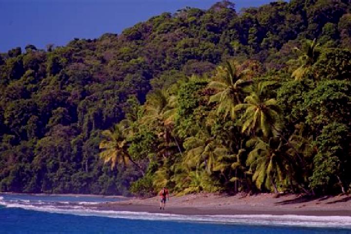 Rose, 34 — Escort in El Corcovado, Mexico
