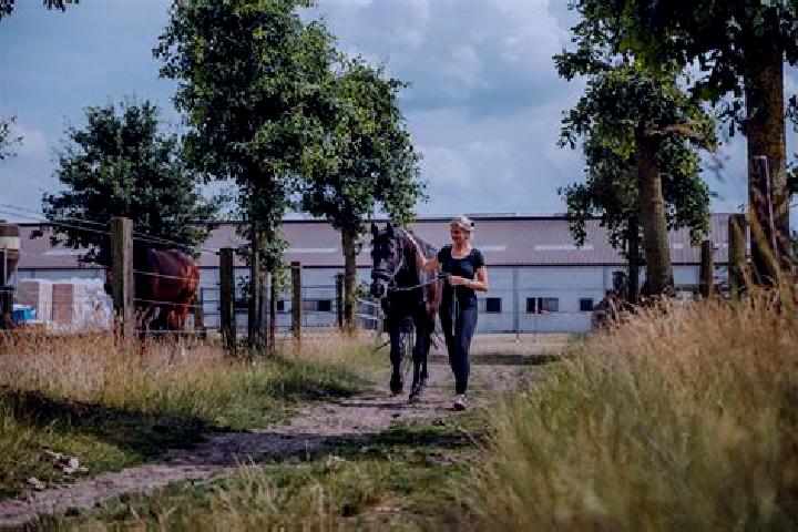 Rose, 34 — Escort in Kerkenveld, Netherlands