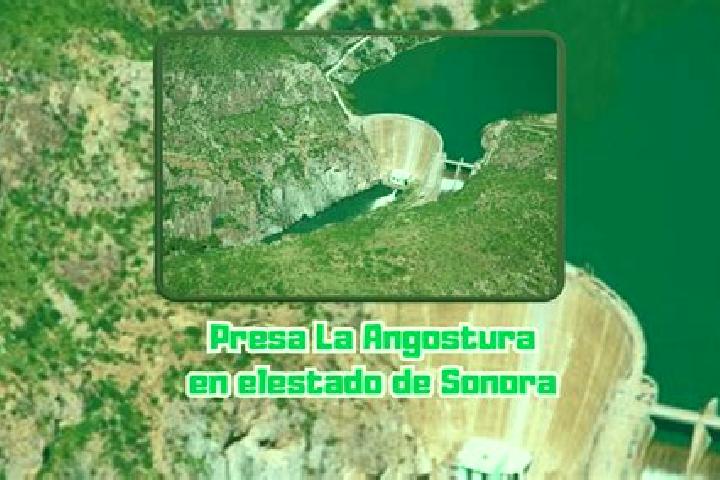 Rose, 34 — Escort in La Angostura, Mexico