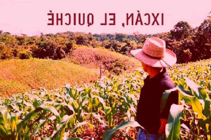 Rose, 34 — Escort in Palpoala Ixcan, Mexico