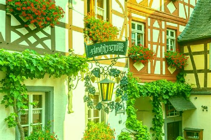 Rose, 34 — Escort in Siebenbaumen, Germany