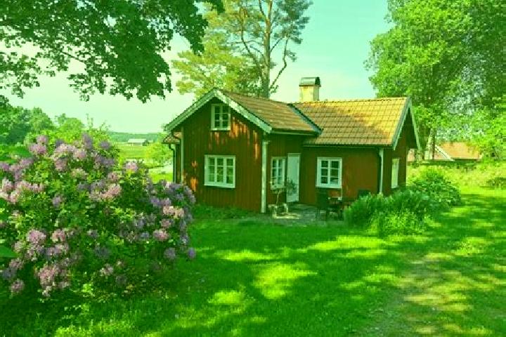 Rose, 34 — Escort in Sollebrunn, Sweden