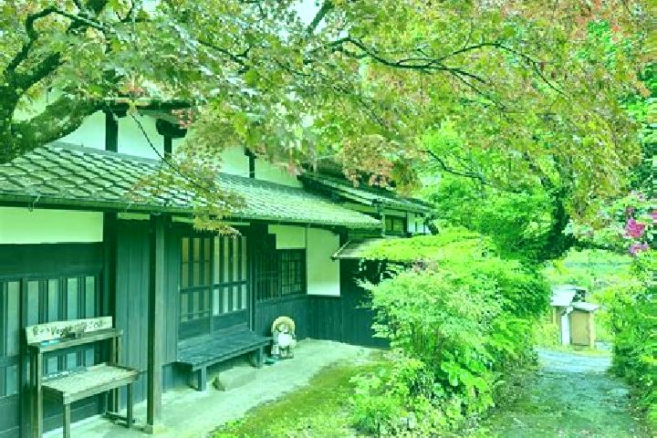 Rose, 34 — Escort in Ukiha, Japan